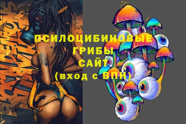 гашик Богданович